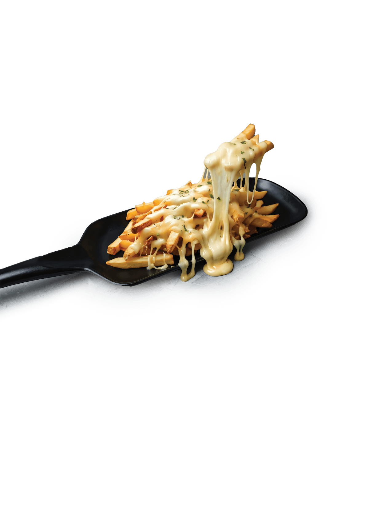 Cheesy Fries