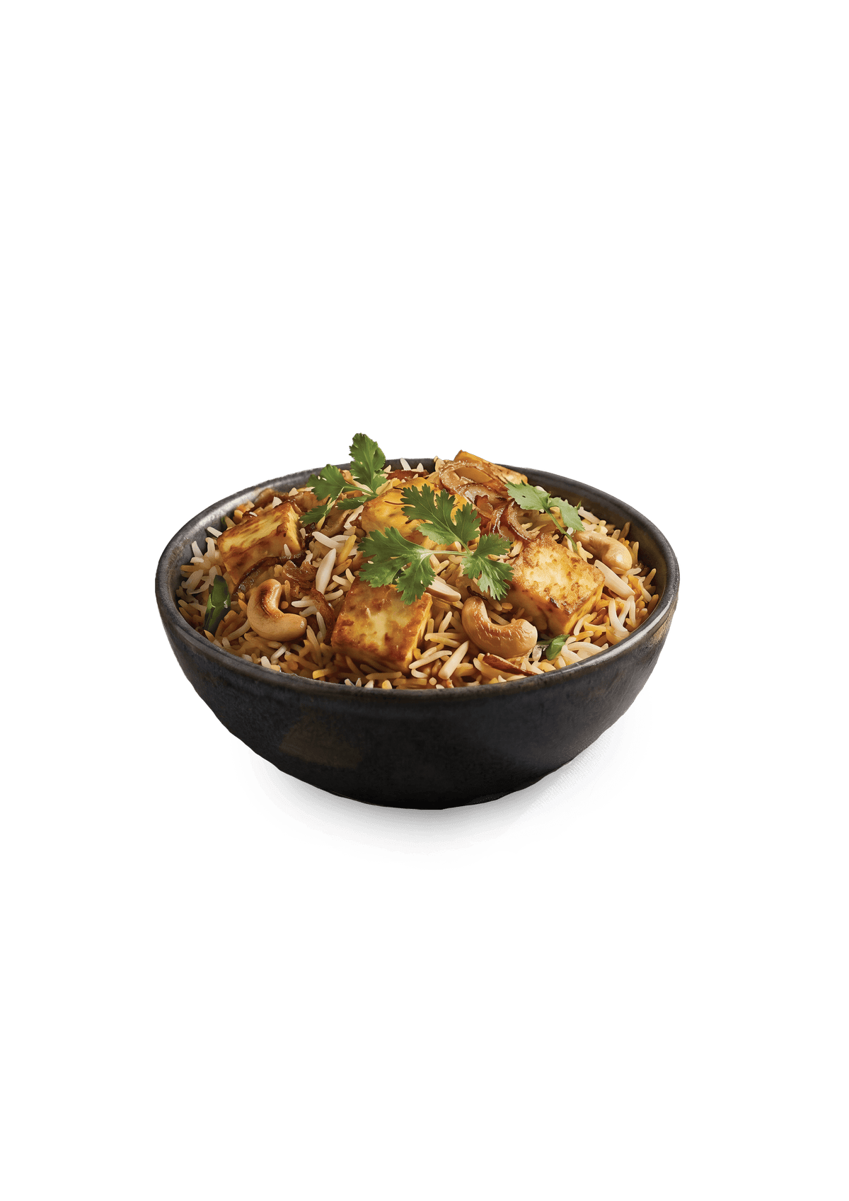 Paner Biryani